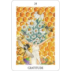 L'oracle des curieux hasards, gratitude