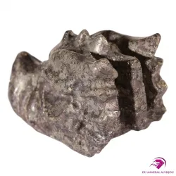 Crâne Dragon Pyrite