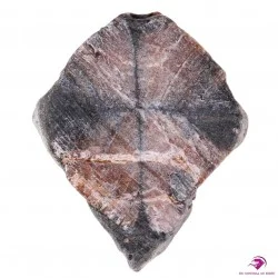 Chiastolite Hunan