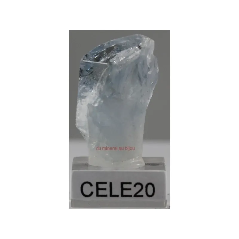 Célestine Célestine